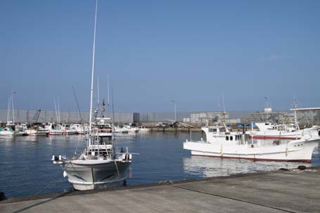 青島漁港