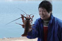 伊勢えび