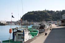 青島漁港