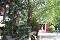 日之御崎観音寺1