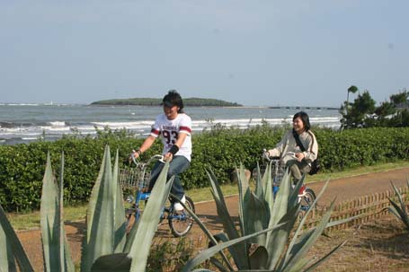 レンタサイクル